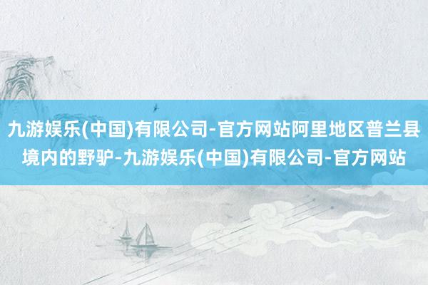 九游娱乐(中国)有限公司-官方网站阿里地区普兰县境内的野驴-九游娱乐(中国)有限公司-官方网站