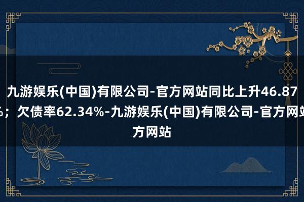 九游娱乐(中国)有限公司-官方网站同比上升46.87%；欠债率62.34%-九游娱乐(中国)有限公司-官方网站