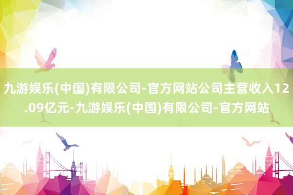 九游娱乐(中国)有限公司-官方网站公司主营收入12.09亿元-九游娱乐(中国)有限公司-官方网站
